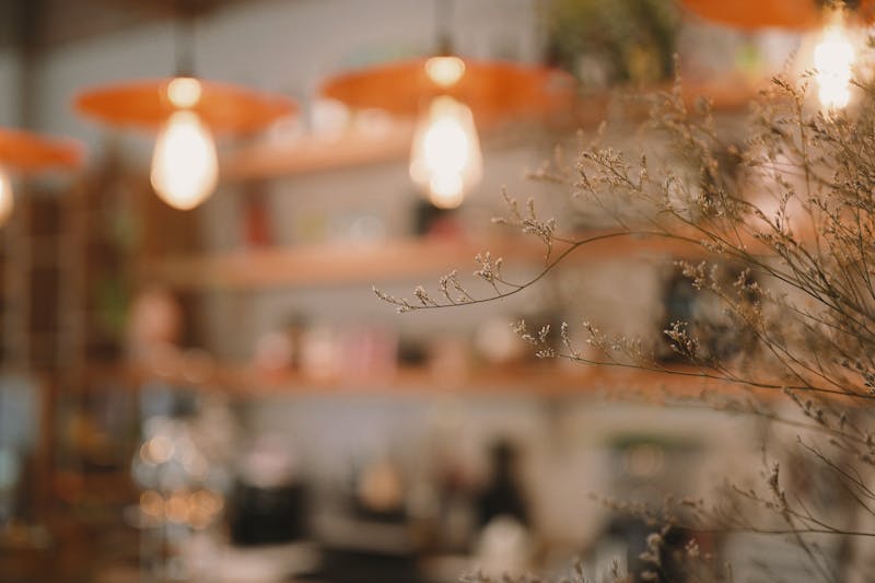 Dions pizza franchise restaurant interior with vibrant atmosphere